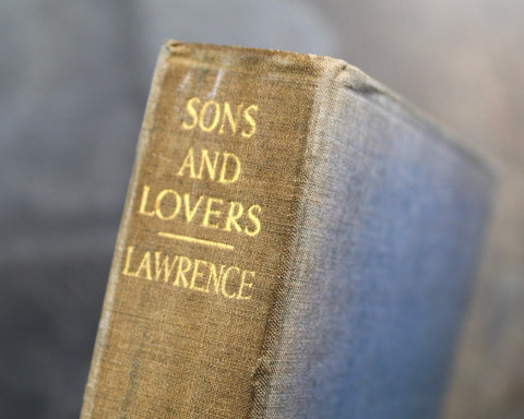 1922 Modern Library Edition of D.H. Lawrence's Sons & Lovers | Antique Novel | Boni Liveright | John Macy