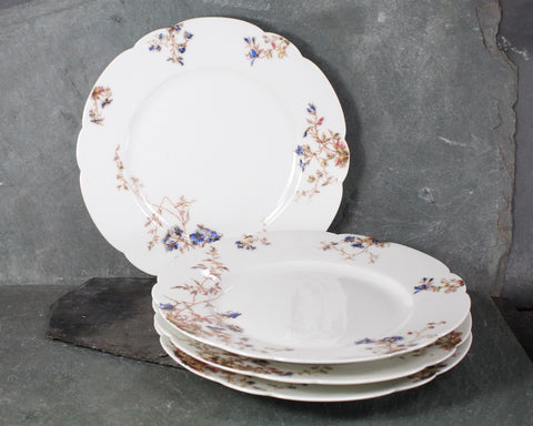 Set of 4 Haviland & Co Luncheon Plates | Limoges Haviland 8 1/2" Blue Flowers with Grey Leaves Design Scalloped Edge | Bixley Shop