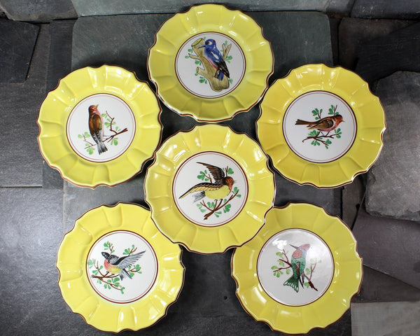 Italian Majolica Bird Salad Plate | Five Different Designs | 8" Diameter | Italian Ceramic | Bird Lover Gift | Bixley Shop