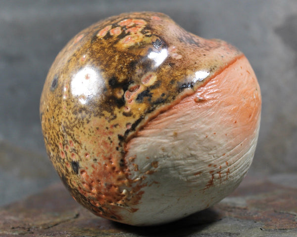 Seed Pod Sculpture | Art Sculpture | Hand Glazed Orange and Brown Seed Pod | Heavy Sculpture 1 Pound