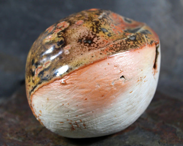 Seed Pod Sculpture | Art Sculpture | Hand Glazed Orange and Brown Seed Pod | Heavy Sculpture 1 Pound