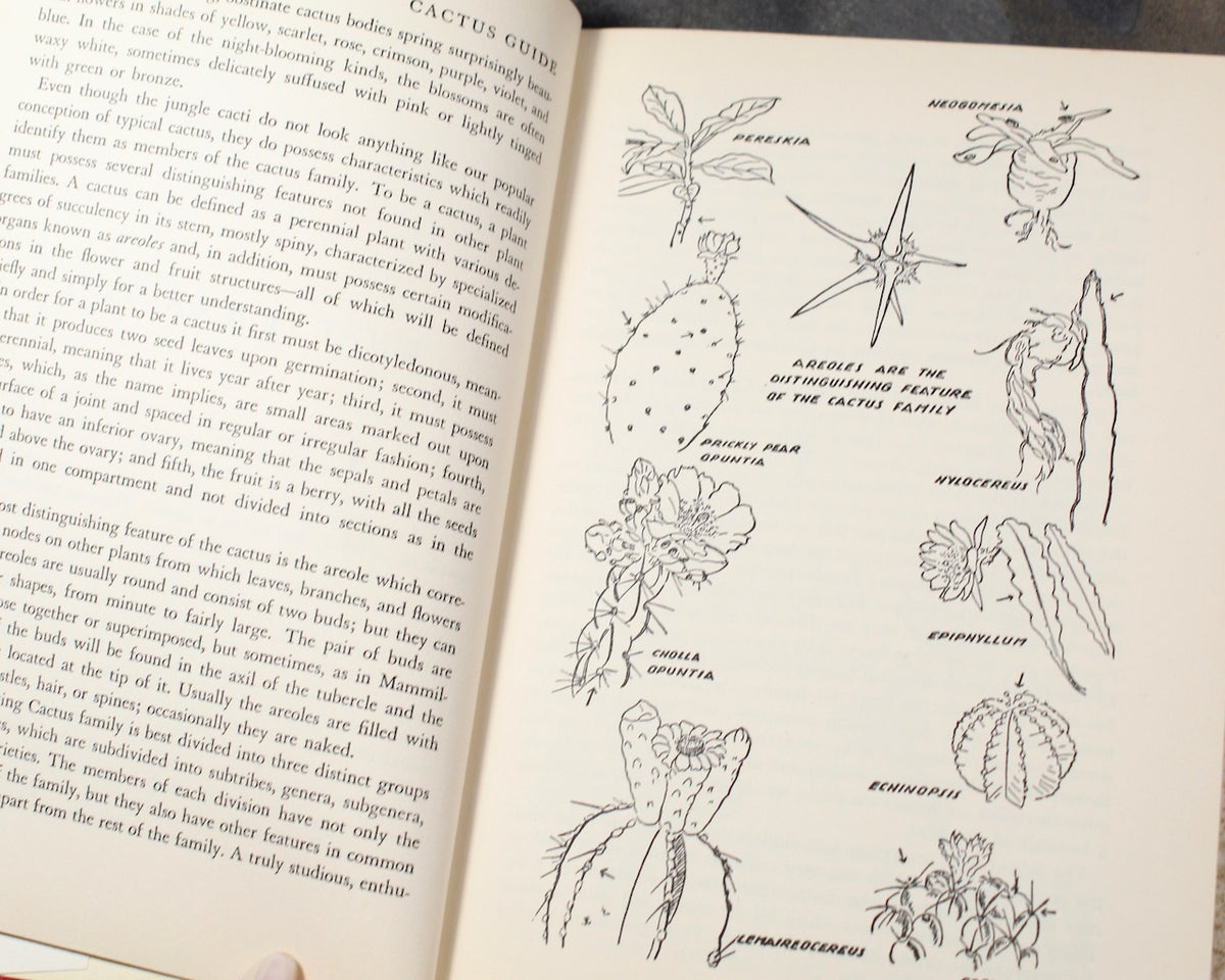 Cactus Guide by Ladislaus Cutak | 1956 First Edition | Vintage Gardeni