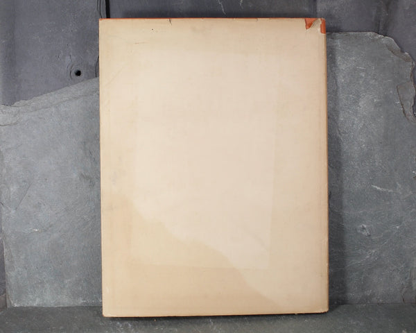 Down Down the Mountain by Ellis Credle | September 1934 Junior Literary Guild Selection || Antique Picture Book | Bixley Shop