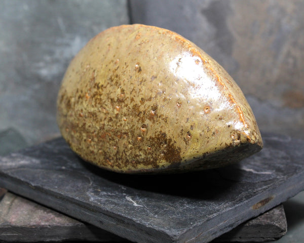 Seed Pod Sculpture | Art Sculpture | Hand Glazed Beige/Brown Seed Pod