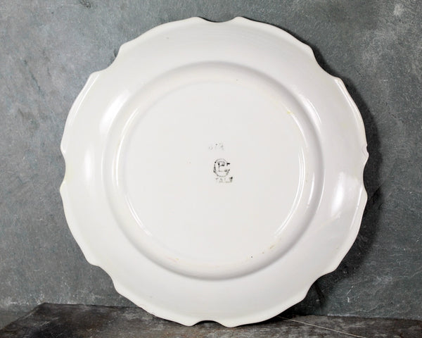 Italian Majolica Bird Salad Plate | Five Different Designs | 8" Diameter | Italian Ceramic | Bird Lover Gift | Bixley Shop