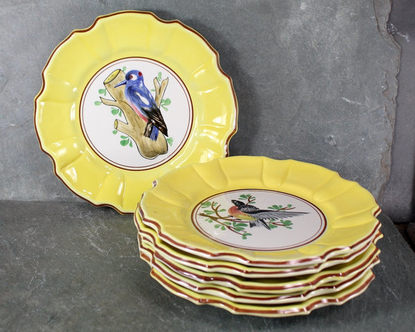 Italian Majolica Bird Salad Plate | Five Different Designs | 8" Diameter | Italian Ceramic | Bird Lover Gift | Bixley Shop