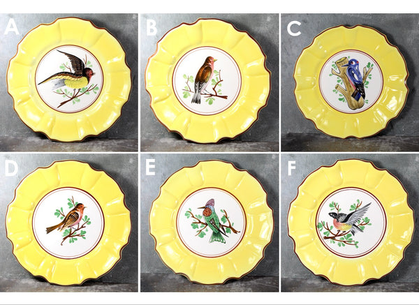 Italian Majolica Bird Salad Plate | Five Different Designs | 8" Diameter | Italian Ceramic | Bird Lover Gift | Bixley Shop