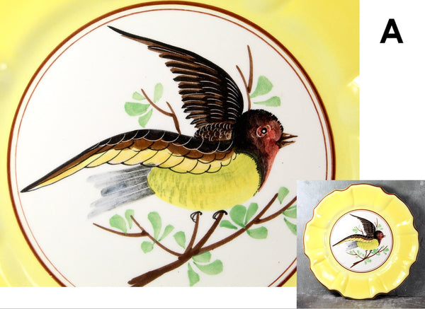 Italian Majolica Bird Salad Plate | Five Different Designs | 8" Diameter | Italian Ceramic | Bird Lover Gift | Bixley Shop
