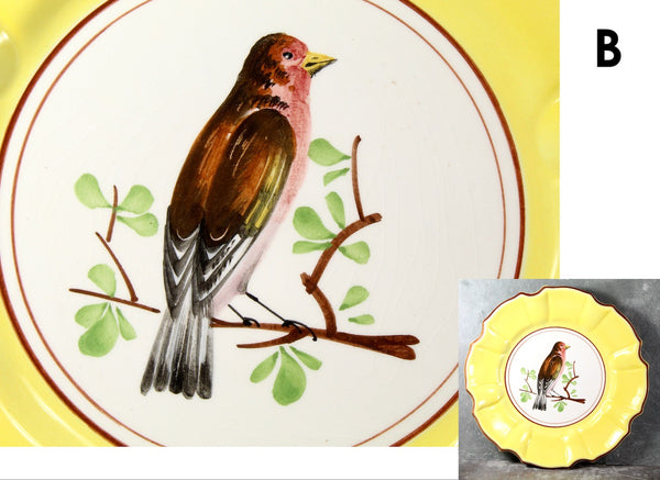 Italian Majolica Bird Salad Plate | Five Different Designs | 8" Diameter | Italian Ceramic | Bird Lover Gift | Bixley Shop
