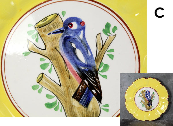 Italian Majolica Bird Salad Plate | Five Different Designs | 8" Diameter | Italian Ceramic | Bird Lover Gift | Bixley Shop