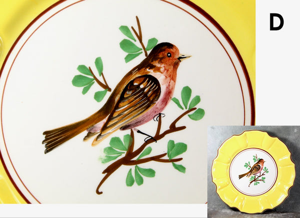 Italian Majolica Bird Salad Plate | Five Different Designs | 8" Diameter | Italian Ceramic | Bird Lover Gift | Bixley Shop