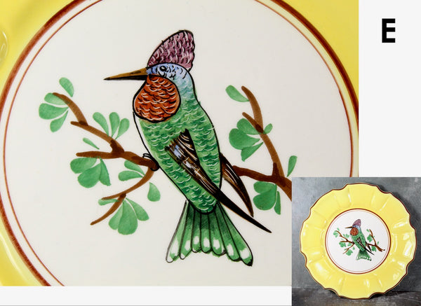 Italian Majolica Bird Salad Plate | Five Different Designs | 8" Diameter | Italian Ceramic | Bird Lover Gift | Bixley Shop