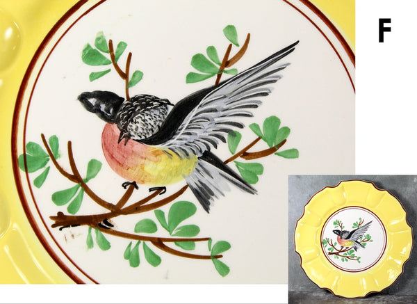 Italian Majolica Bird Salad Plate | Five Different Designs | 8" Diameter | Italian Ceramic | Bird Lover Gift | Bixley Shop
