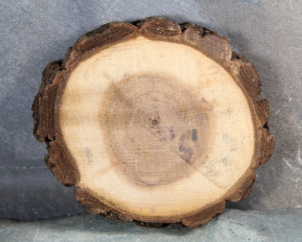 RARE! 1938 Official Relief Relic of Hurricane & Flood Hartford Connecticut | September 21-24, 1938 Hurricane and Flood Relic| Bixley Shop