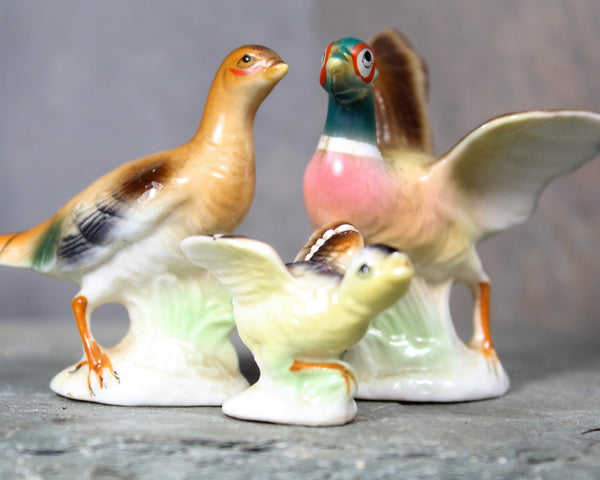 Mid-Century SHIKEN Pheasant Family Figurines | Set of 3 Bone China Figures | Beautifully Detailed | Made in Japan | Bixley Shop