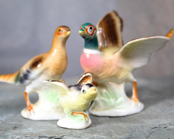 Mid-Century SHIKEN Pheasant Family Figurines | Set of 3 Bone China Figures | Beautifully Detailed | Made in Japan | Bixley Shop