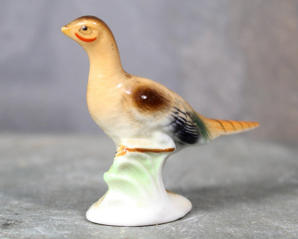 Mid-Century SHIKEN Pheasant Family Figurines | Set of 3 Bone China Figures | Beautifully Detailed | Made in Japan | Bixley Shop