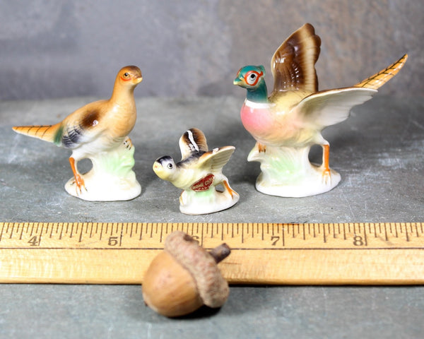 Mid-Century SHIKEN Pheasant Family Figurines | Set of 3 Bone China Figures | Beautifully Detailed | Made in Japan | Bixley Shop