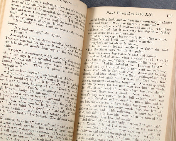 1922 Modern Library Edition of D.H. Lawrence's Sons & Lovers | Antique Novel | Boni Liveright | John Macy