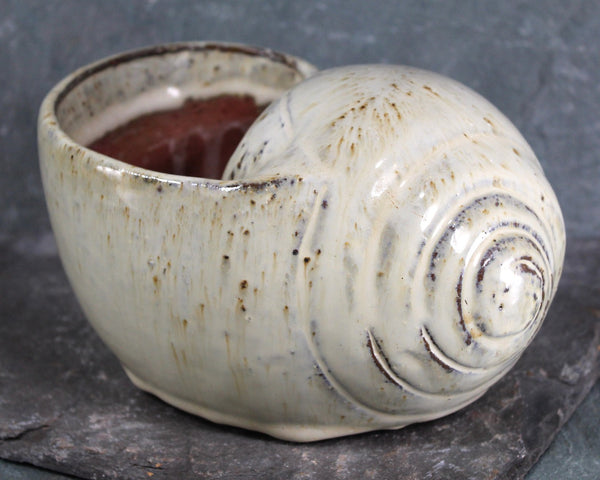 Red Clay Art Pottery Snail Shell Planter | Hand Crafted Shell Planter | Beach Decor | Indoor Planter | Bixley Shop