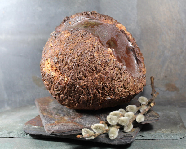 Seed Pod Sculpture | Art Sculpture | Large Hand Crafted Brown Seed Pod