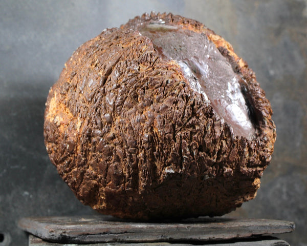 Seed Pod Sculpture | Art Sculpture | Large Hand Crafted Brown Seed Pod