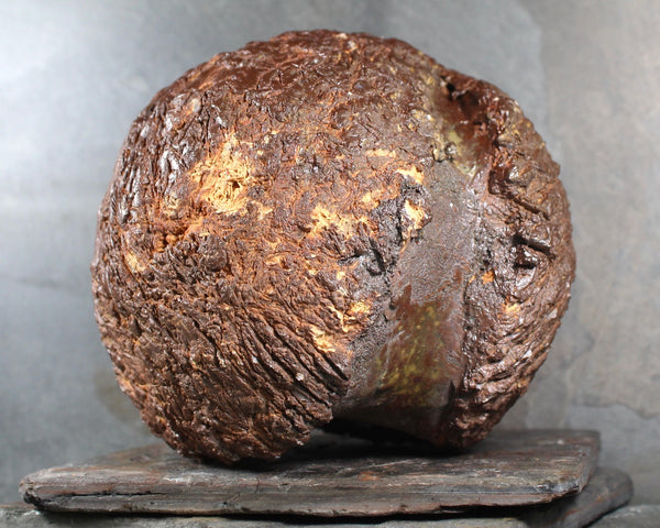 Seed Pod Sculpture | Art Sculpture | Large Hand Crafted Brown Seed Pod