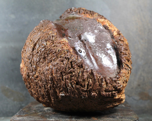 Seed Pod Sculpture | Art Sculpture | Large Hand Crafted Brown Seed Pod