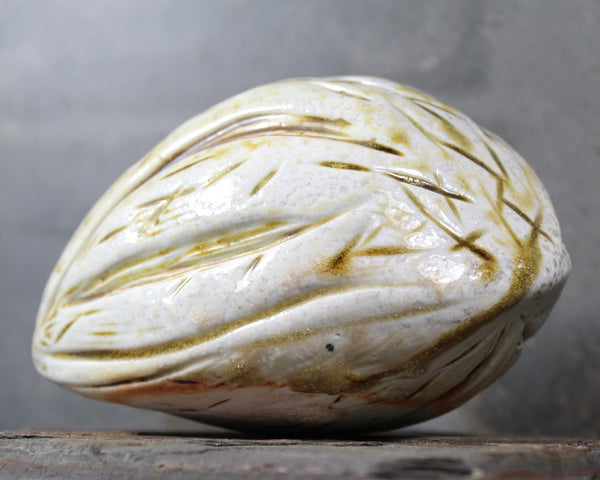 Seed Pod Sculpture | Art Sculpture | Hand Glazed Grayish White Seed Pod | Heavy Sculpture 1.5 Pounds