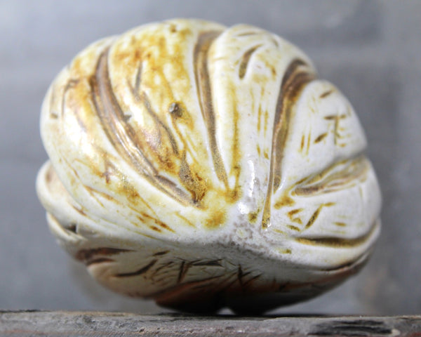 Seed Pod Sculpture | Art Sculpture | Hand Glazed Grayish White Seed Pod | Heavy Sculpture 1.5 Pounds