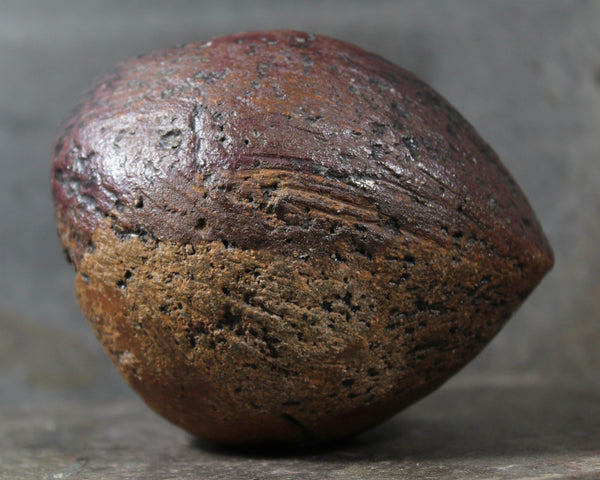 Seed Pod Sculpture | Art Sculpture | Hand Glazed Reddish Brown and Black Seed Pod | Heavy Sculpture 1 Pound