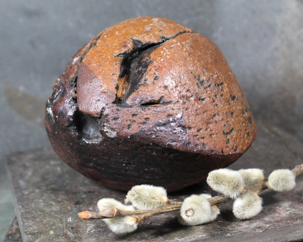 Seed Pod Sculpture | Art Sculpture | Hand Glazed Reddish Brown and Black Seed Pod | Heavy Sculpture 1 Pound