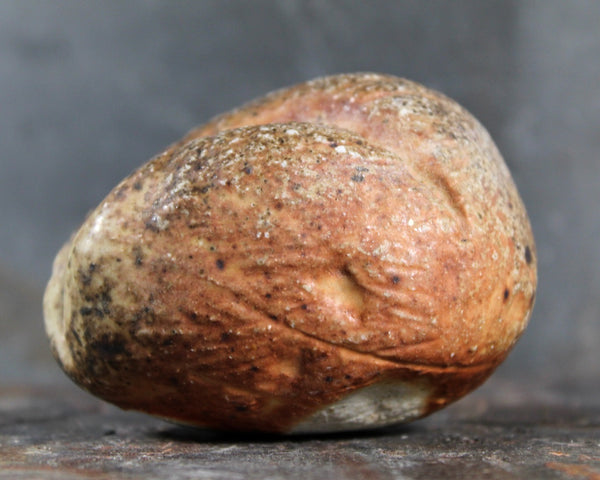 Small Seed Pod Sculpture | Art Sculpture | Bean Shaped Seed Pod | Hand Sculpted