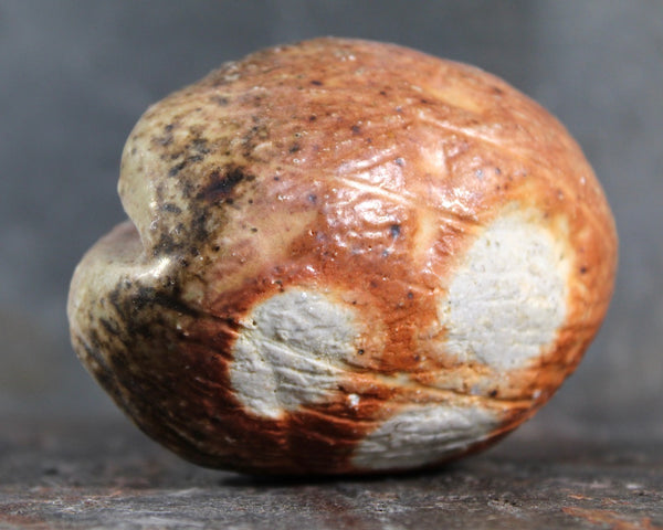 Small Seed Pod Sculpture | Art Sculpture | Bean Shaped Seed Pod | Hand Sculpted