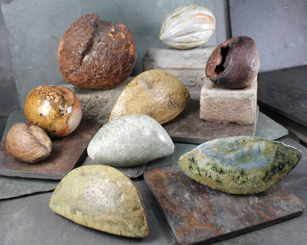 Seed Pod Sculpture | Art Sculpture | Hand Glazed Grey/Green Seed Pod