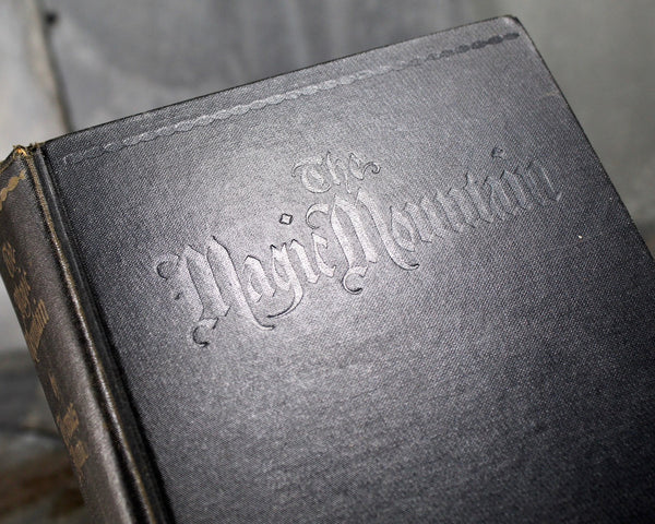 The Magic Mountain by Thomas Mann - Alfred A. Knopf 1934 Edition - Hardcover Thomas Mann - German Literature