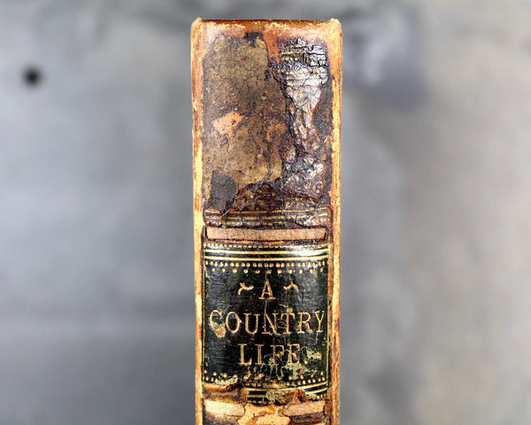 RARE! 1862 Rhymes & Roundelayes In Praise A Country Life - Gorgeous, Antique Poetry Book by D. Appleton Publishers - Civil War Era