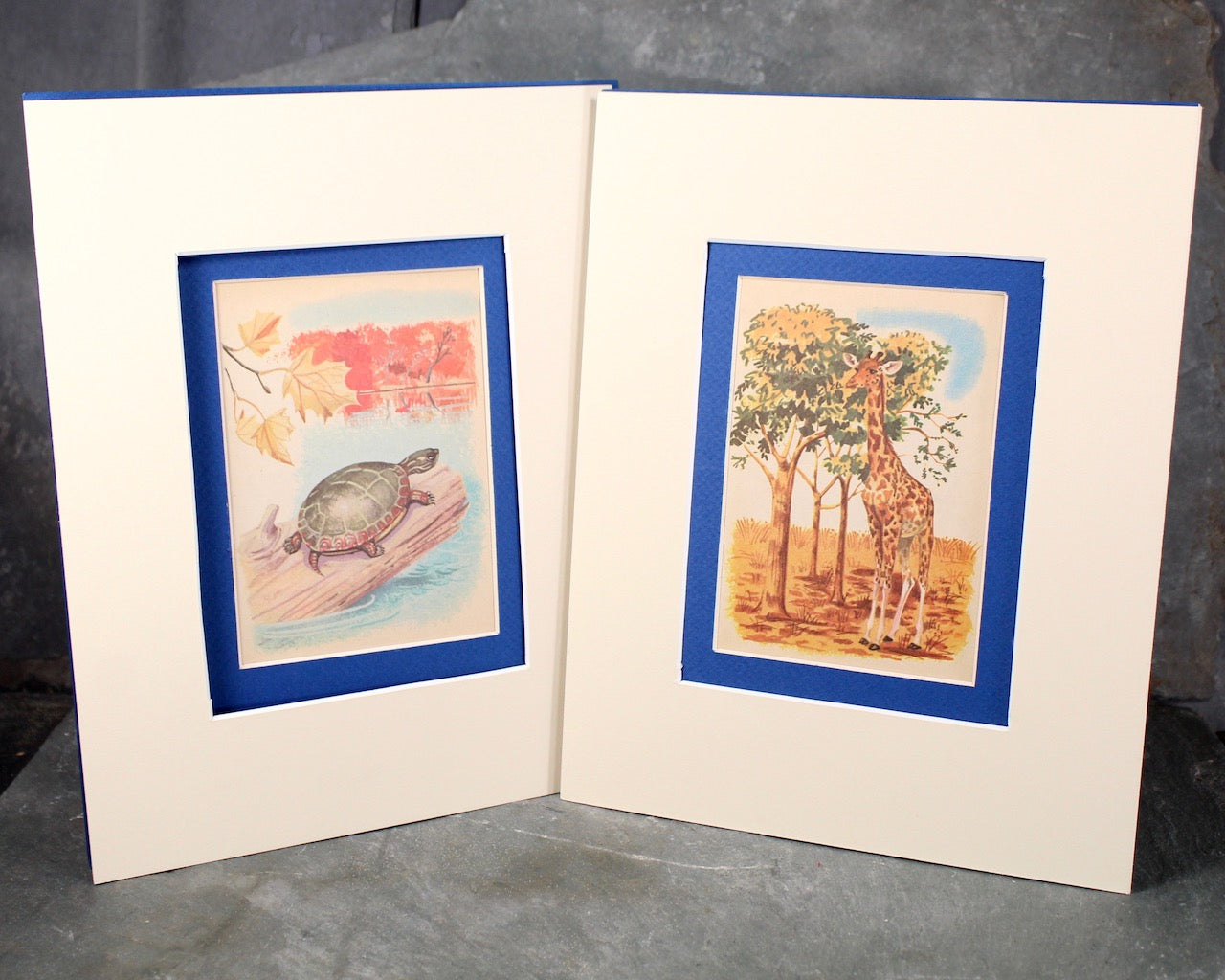 Animal Art for Children's Room - Set of 2 Matted Vintage Children's Book Pages (Not Reprints) - 8x10" MATTED, UNFRAMED