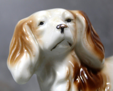 FOR DOG LOVERS! | Vintage Hand Painted Ceramic Welsh Springer Spaniel | Dog Lovers | Hand Painted Ceramic Spaniel Figurine