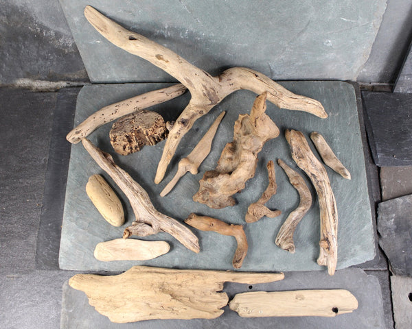 Driftwood Collection - Set of 15 Naturally Aged Driftwood Pieces Ranging from 15" to 3" - For Your Decor or Craft Projects