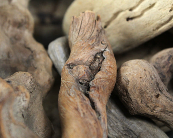 Driftwood Collection - Set of 15 Naturally Aged Driftwood Pieces Ranging from 15" to 3" - For Your Decor or Craft Projects
