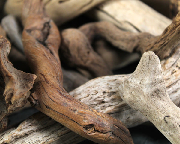 Driftwood Collection - Set of 15 Naturally Aged Driftwood Pieces Ranging from 15" to 3" - For Your Decor or Craft Projects