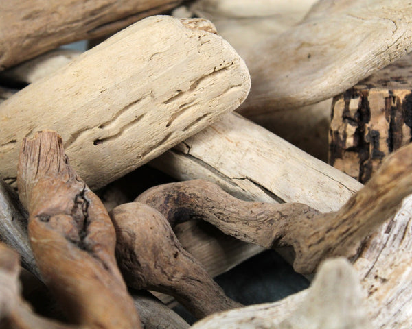 Driftwood Collection - Set of 15 Naturally Aged Driftwood Pieces Ranging from 15" to 3" - For Your Decor or Craft Projects