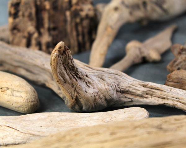 Driftwood Collection - Set of 15 Naturally Aged Driftwood Pieces Ranging from 15" to 3" - For Your Decor or Craft Projects
