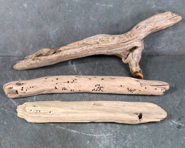 Driftwood Collection - Set of 15 Naturally Aged Driftwood Pieces Ranging from 15" to 3" - For Your Decor or Craft Projects