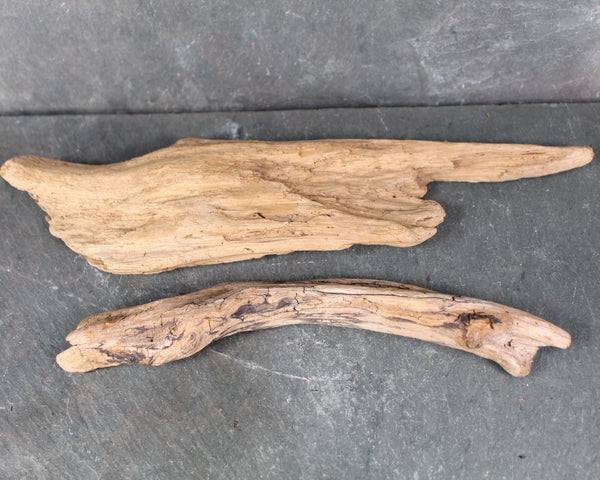 Driftwood Collection - Set of 15 Naturally Aged Driftwood Pieces Ranging from 15" to 3" - For Your Decor or Craft Projects