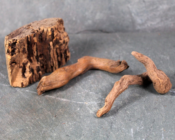 Driftwood Collection - Set of 15 Naturally Aged Driftwood Pieces Ranging from 15" to 3" - For Your Decor or Craft Projects