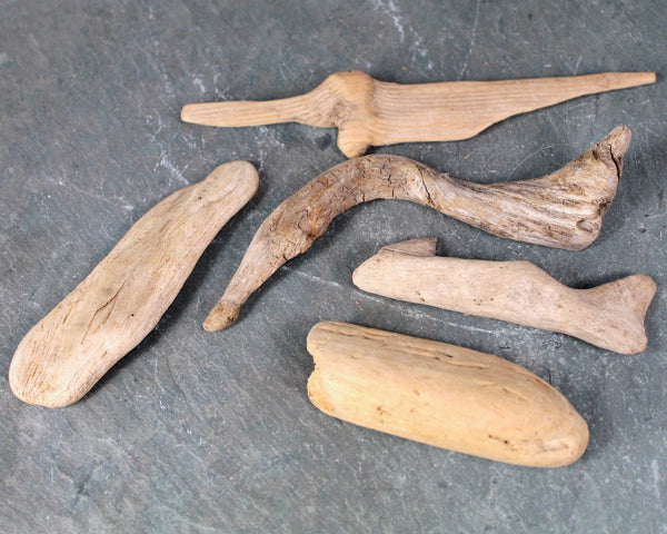 Driftwood Collection - Set of 15 Naturally Aged Driftwood Pieces Ranging from 15" to 3" - For Your Decor or Craft Projects