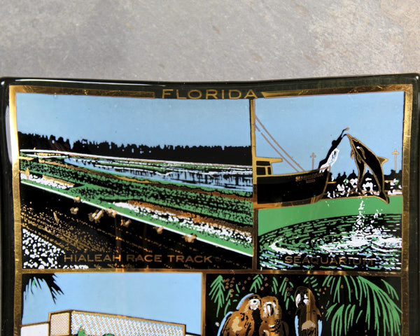 Florida Ashtray, Hialeah Race Track, Seaquarium, New Exhibition Hall, Parrot Jungle, Lincoln Hall and Fontainbleau Hotel
