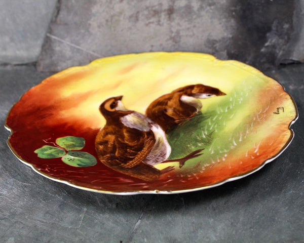 Vintage Limoges Signed and Hand Painted Decorative Plate - L.R.L. Limoges Bird Plate - Signed Ourog - French Porcelain